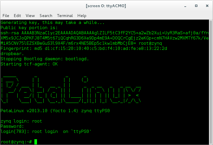 Successful Boot to PetaLinux